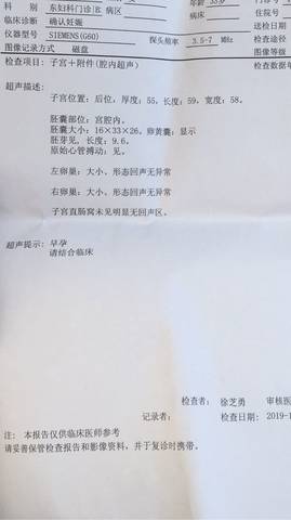 journal_insert_pic_1169940195