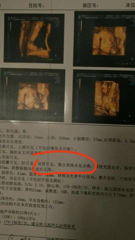 journal_insert_pic_1170509838