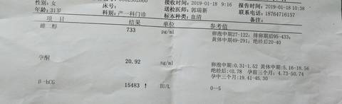 journal_insert_pic_1171271236