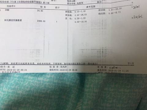 journal_insert_pic_1172835409