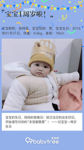 journal_insert_pic_1173473956
