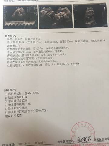 journal_insert_pic_1173393787