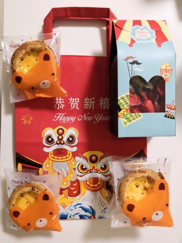 journal_insert_pic_1173868222