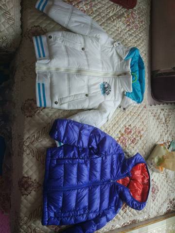 journal_insert_pic_1174403497