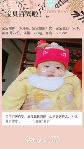 journal_insert_pic_1174247132