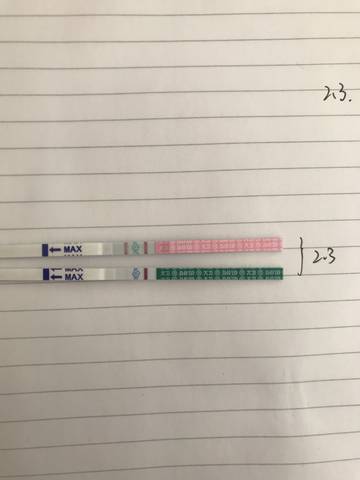 journal_insert_pic_1174766220