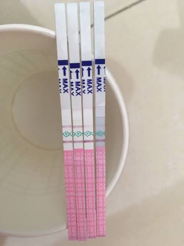 journal_insert_pic_1174771236