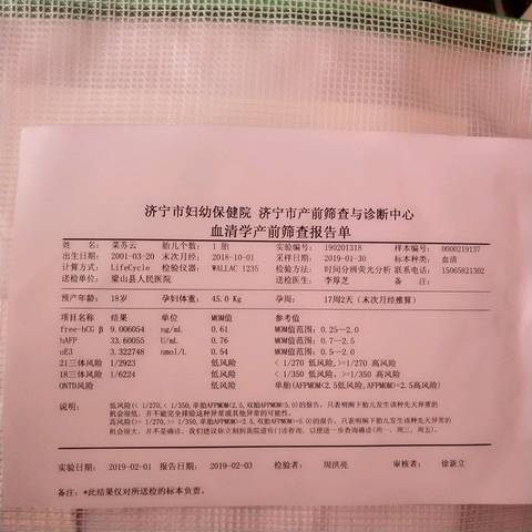 journal_insert_pic_1175246067