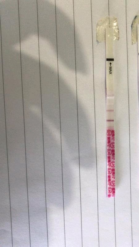 早晚一杯牛奶补充营养