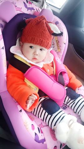 journal_insert_pic_1178382475