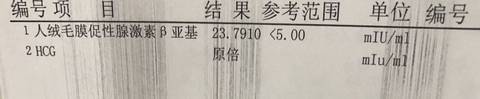 journal_insert_pic_1178883054