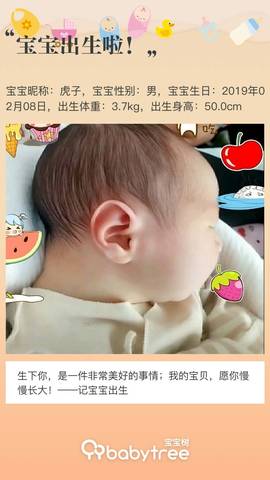 journal_insert_pic_1179730685