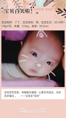 journal_insert_pic_1180025334