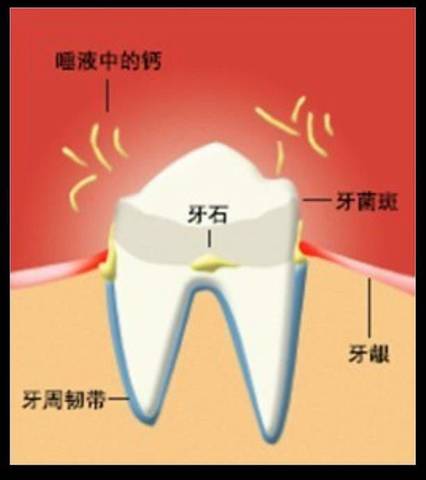 journal_insert_pic_1180931581