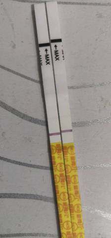 journal_insert_pic_1181350076