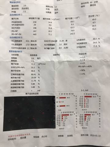 journal_insert_pic_1180748731