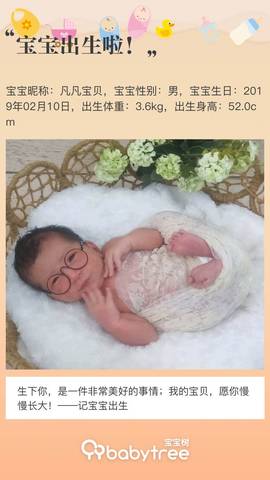 journal_insert_pic_1181880828