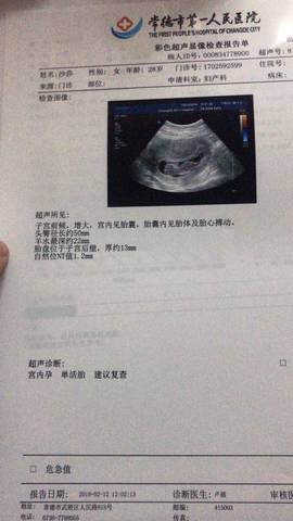 journal_insert_pic_1182153442