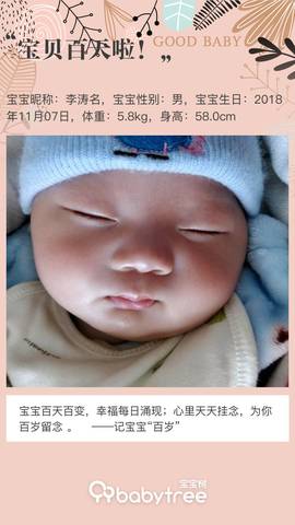 journal_insert_pic_1183534698
