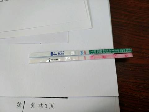journal_insert_pic_1185558227