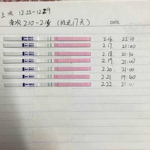 journal_insert_pic_1187570419