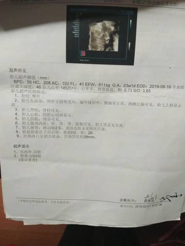 journal_insert_pic_1187477214
