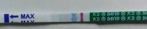 journal_insert_pic_1188357318