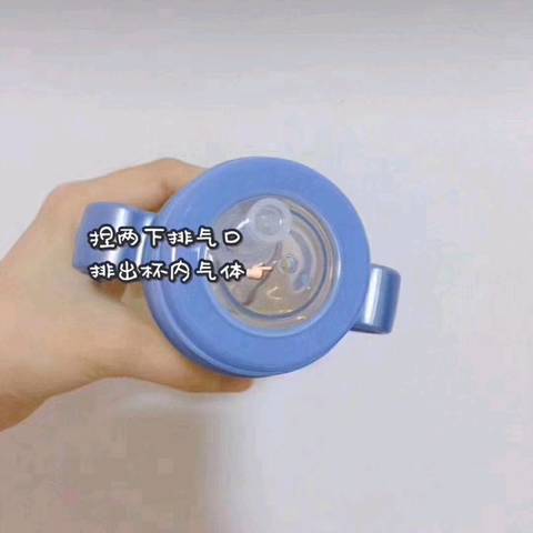 journal_insert_pic_1188182344