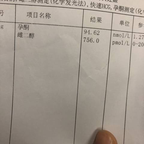 journal_insert_pic_1189434306