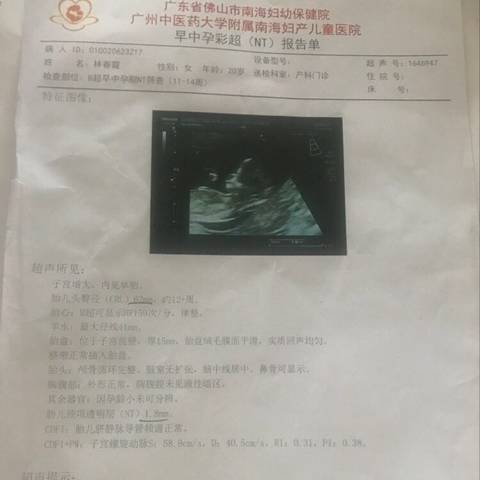 journal_insert_pic_1190008634