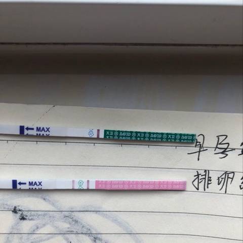 journal_insert_pic_1189771725