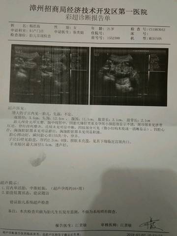 journal_insert_pic_1191764746