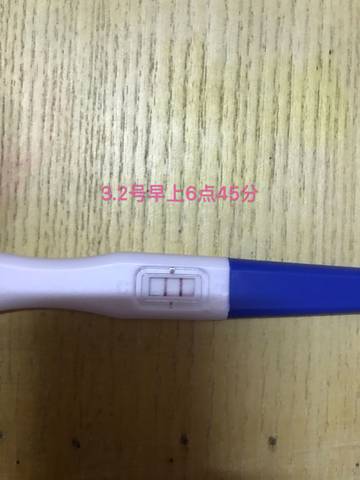 journal_insert_pic_1191395356