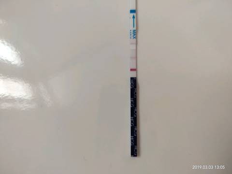 journal_insert_pic_1192089571