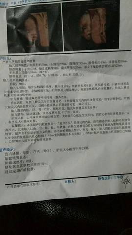 journal_insert_pic_1193048635