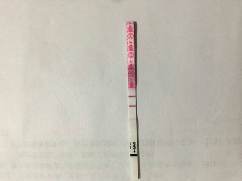 journal_insert_pic_1192777000