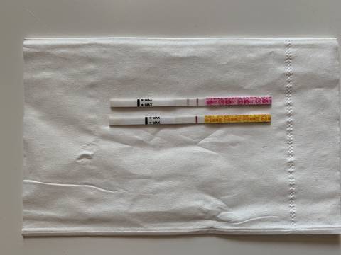 journal_insert_pic_1193282931