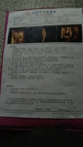 journal_insert_pic_1193750565