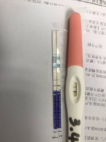 journal_insert_pic_1193926172