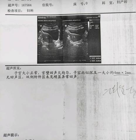 journal_insert_pic_1194451755