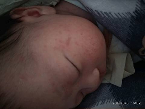 journal_insert_pic_1194890065