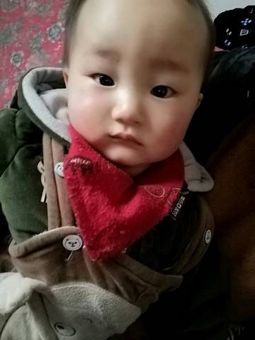 journal_insert_pic_1195585549