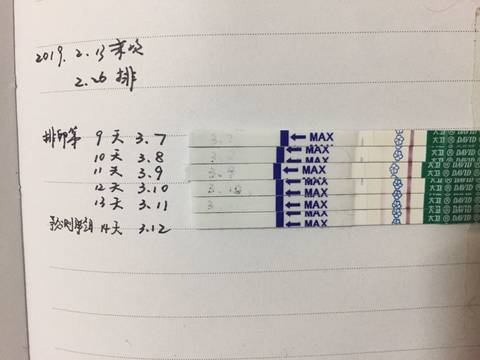 journal_insert_pic_1198325665
