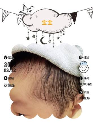 journal_insert_pic_1198946847