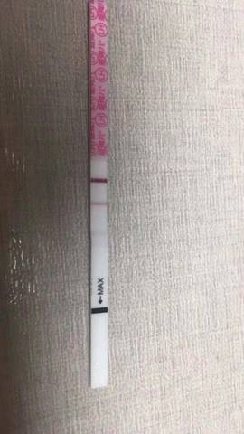 journal_insert_pic_1198880806