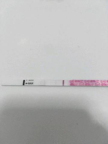 journal_insert_pic_1198886345