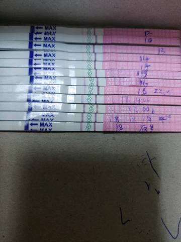 journal_insert_pic_1200775330