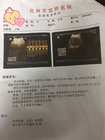 journal_insert_pic_1200722260