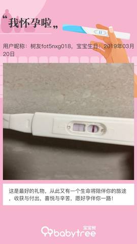 journal_insert_pic_1201883616
