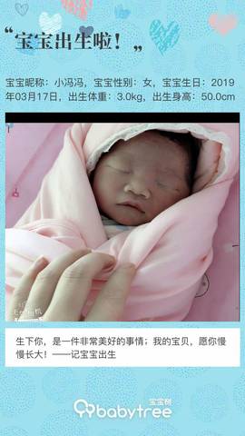 journal_insert_pic_1201611637